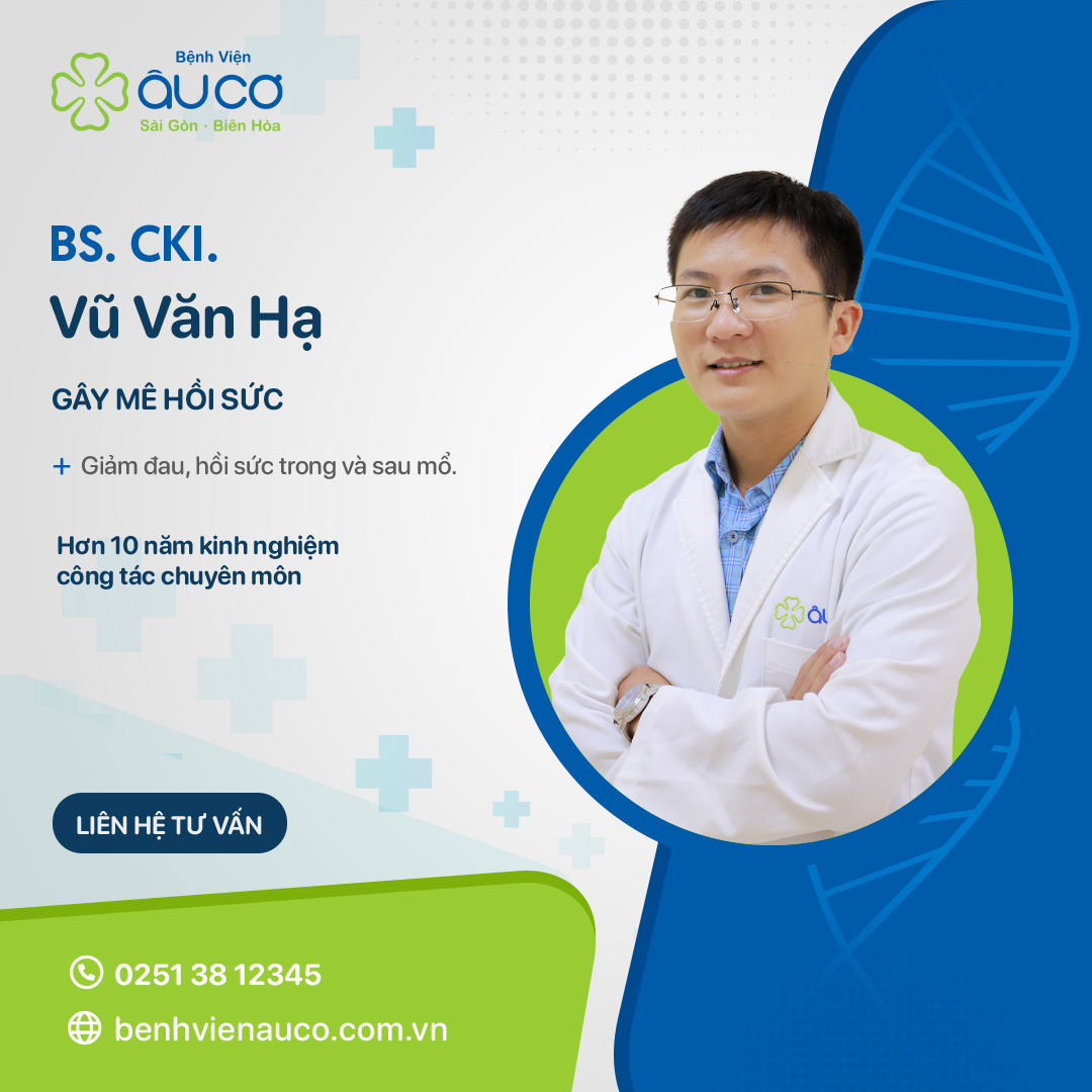 Vu Van Ha