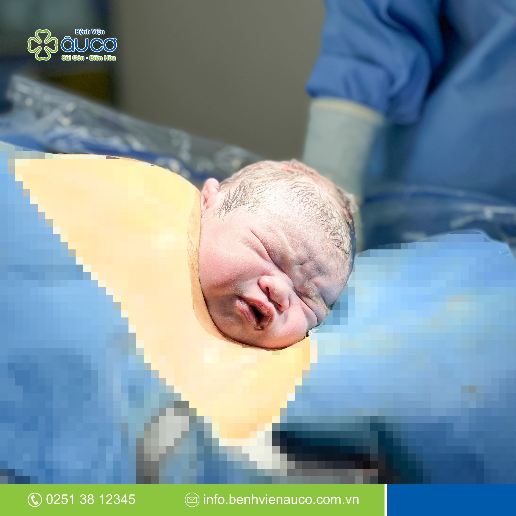 ivf a.jpg 1